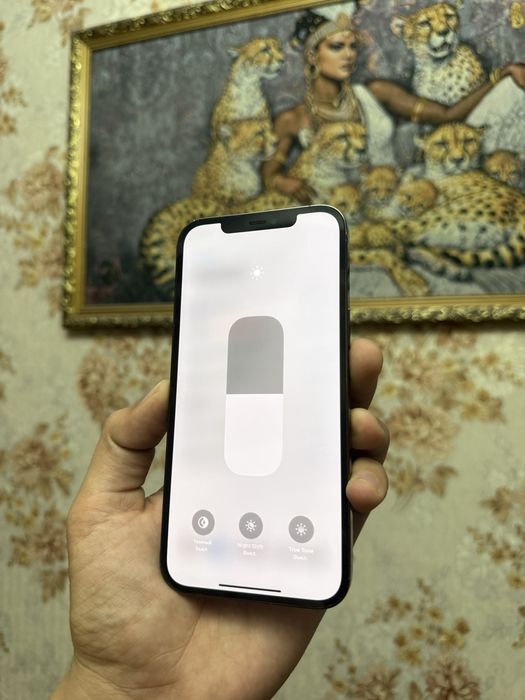 Iphone 12 pro max 128 gb blue