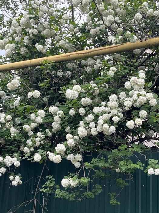 Прадам дачу 1 комната.