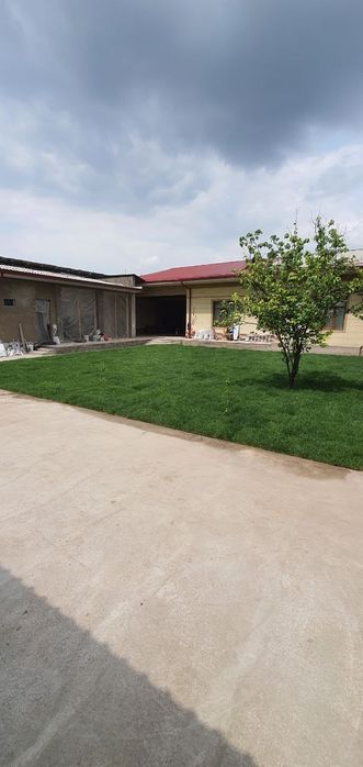 Газон рулонный..