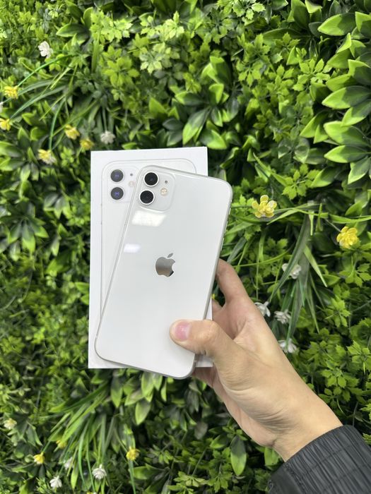 iphone 11Dual 64 100%