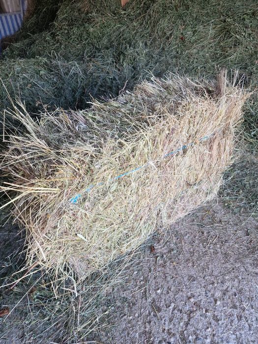 De vânzare baloti de fan