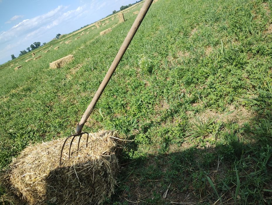 Продавам бали люцерна от полето