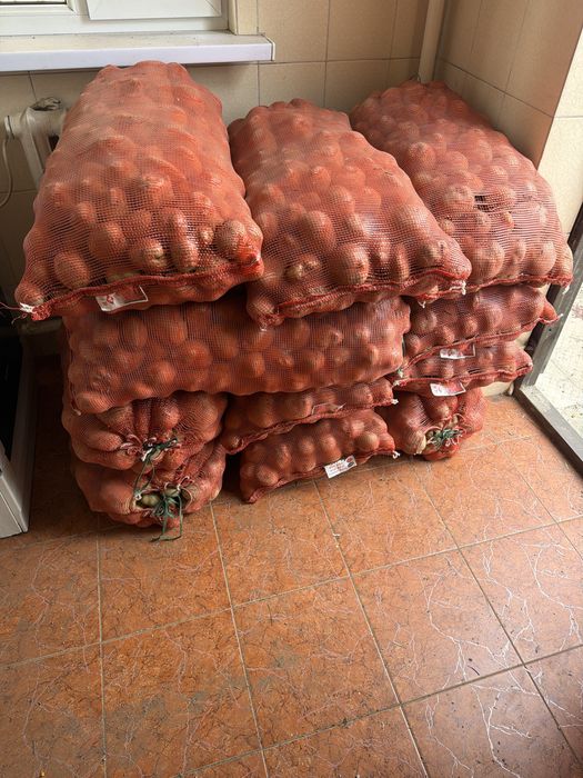 Картошка нарынкольские