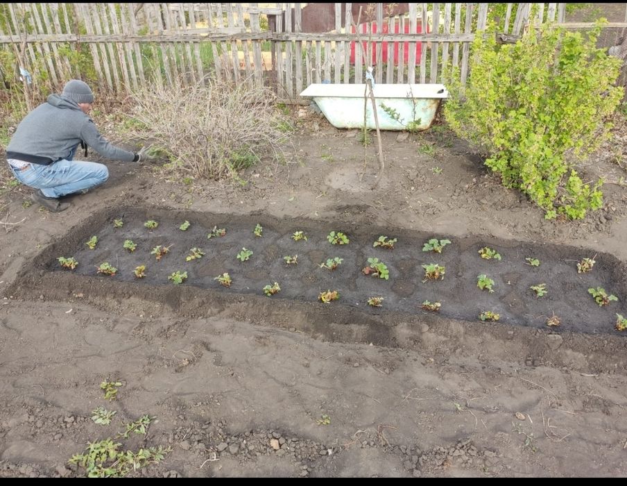 Продам дачу в с/о Ракета.