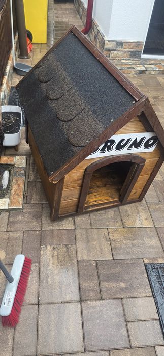 Cusca caine dedeman mare