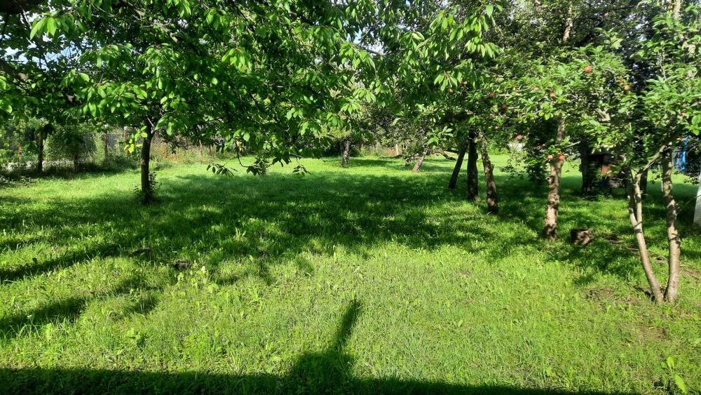Teren livada casă Brebu Câmpina