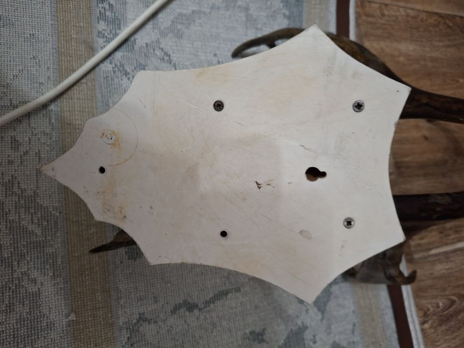 Продам красивые  р