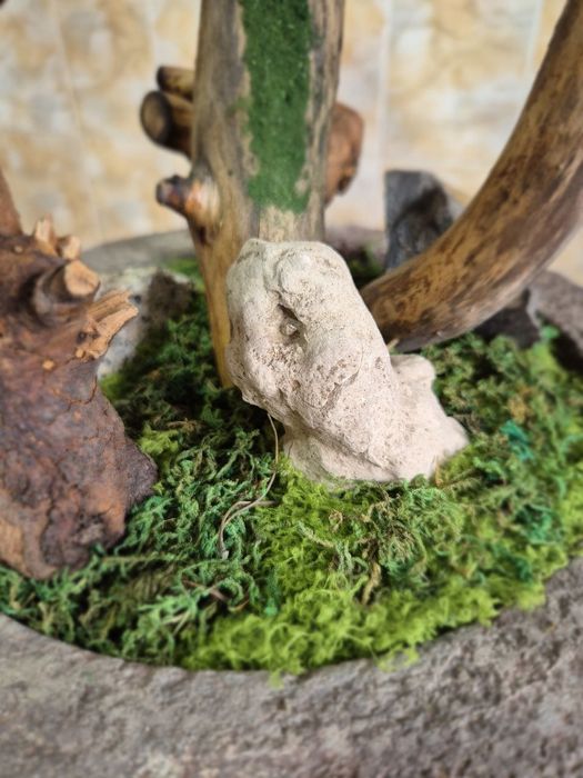 Бонсай ручная работа