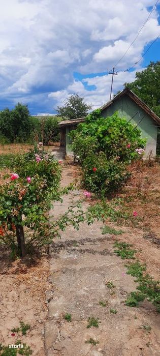 Casa de vazanre, 44.81 mp, teren 1.239 mp, zona Bradesti