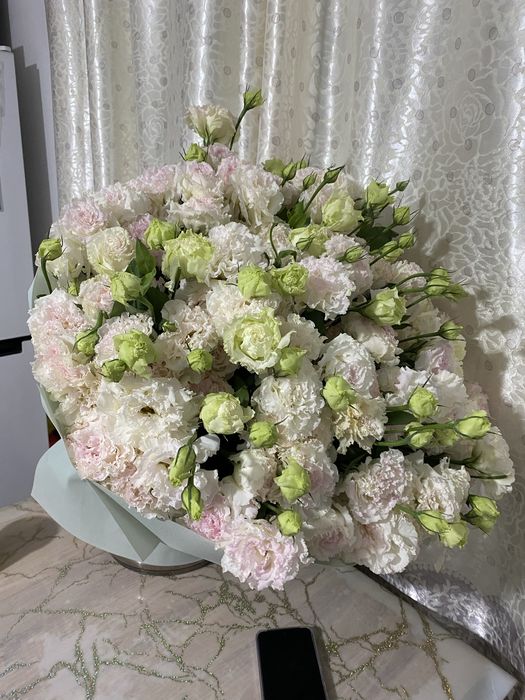 Продам цветы 50 тыс