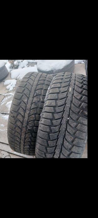 Зимние шины 15000