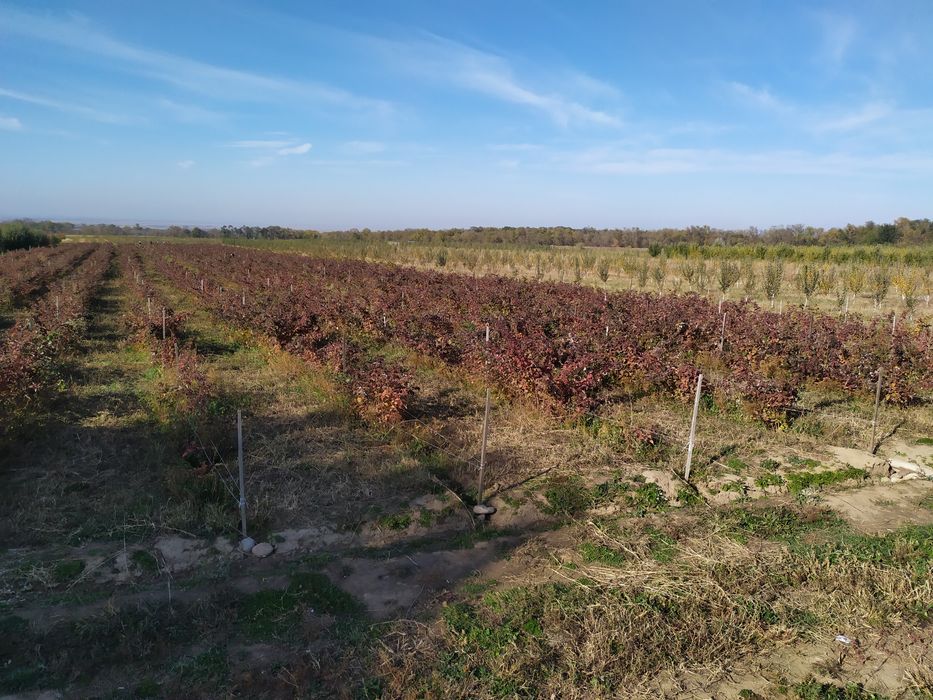 Продам Землю кха