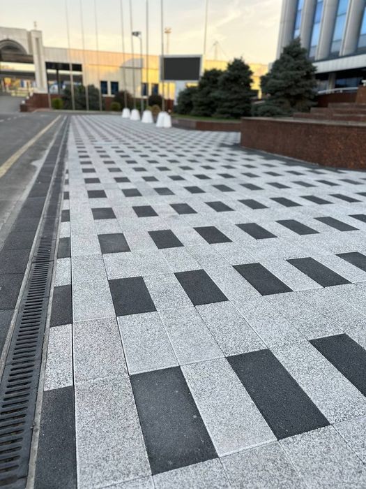 Бурусчатка присовни