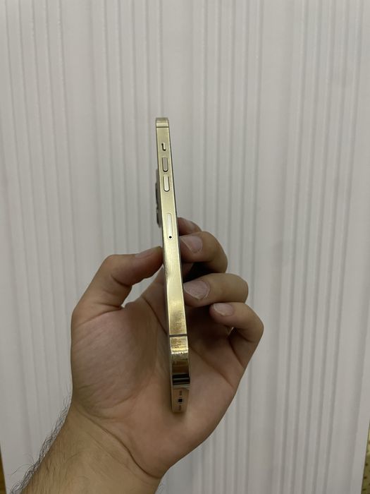 12 pro max 256gb