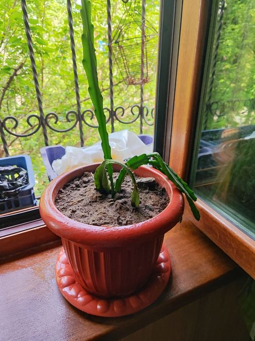 Все для садоводства