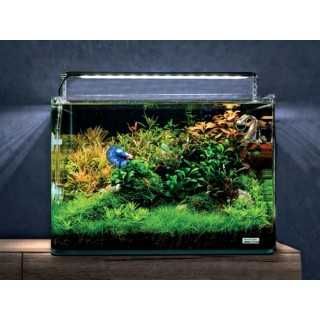 Acvariu Dennerle 70l (50x39x36cm) Nano Tank Plant Pro