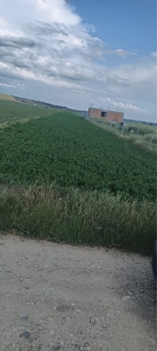Vând teren intravilan