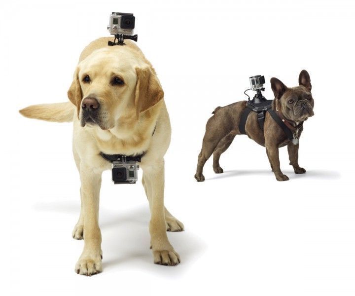 Двойна стойка за куче за екшън камери GoPro