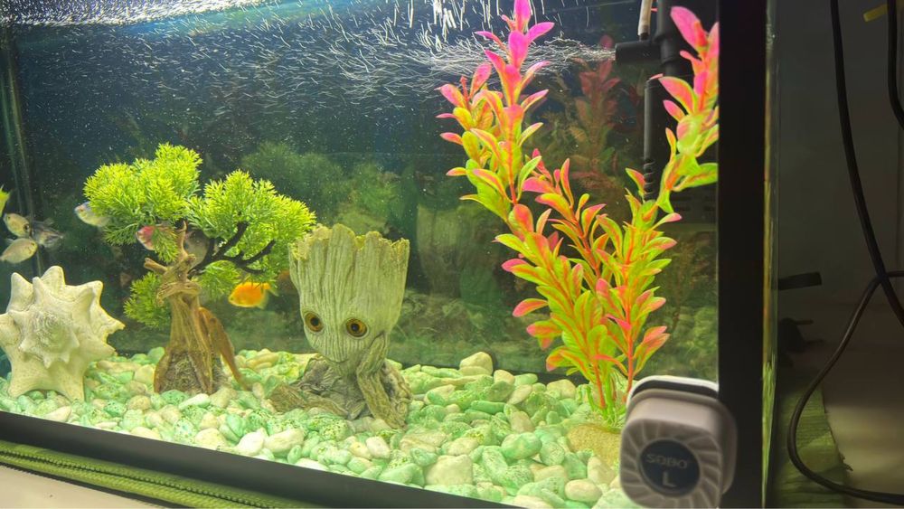 Продаю аквариум 40 литров