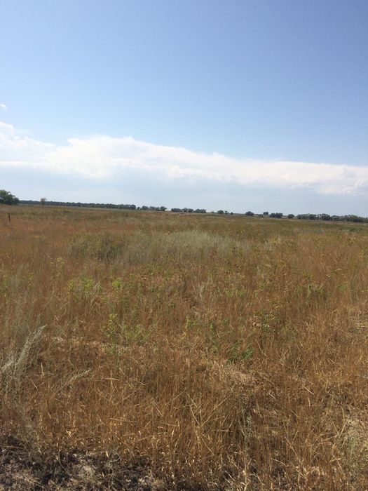 Земельный участок