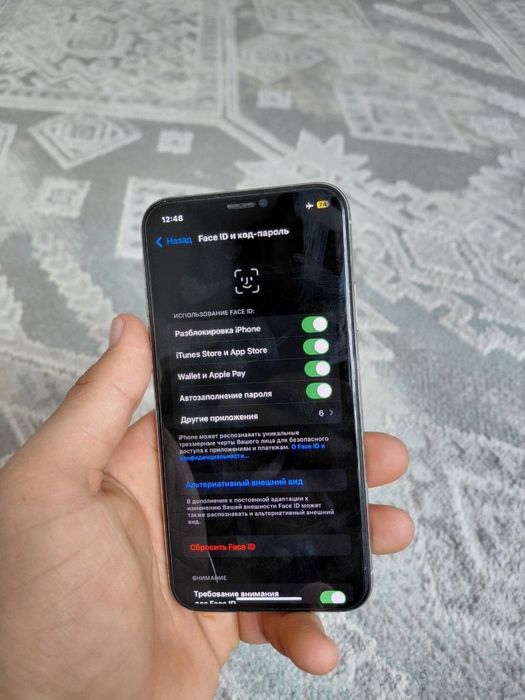 iPhone X 256/100%