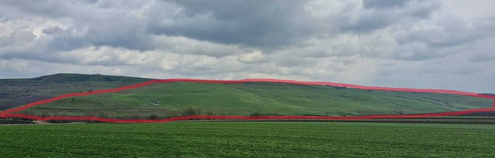 Teren Extravilan- Pășune