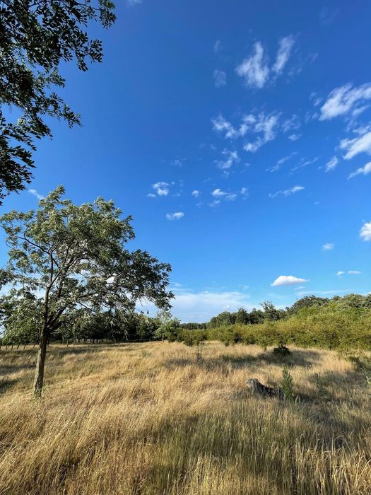 Vând teren 36500 mp Gulia