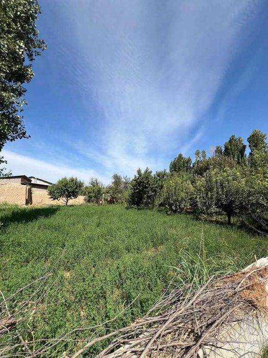 11.7 sotix yer sotiladi orentir bozsuv most SROCHNA