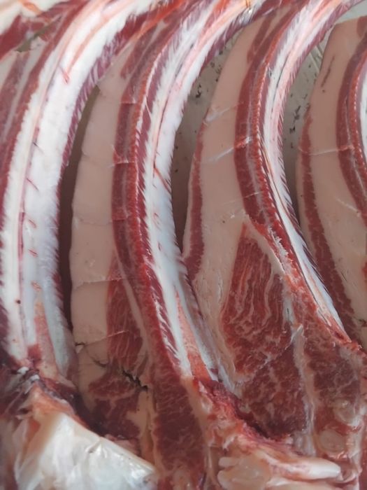 Продам мясо конина по частям