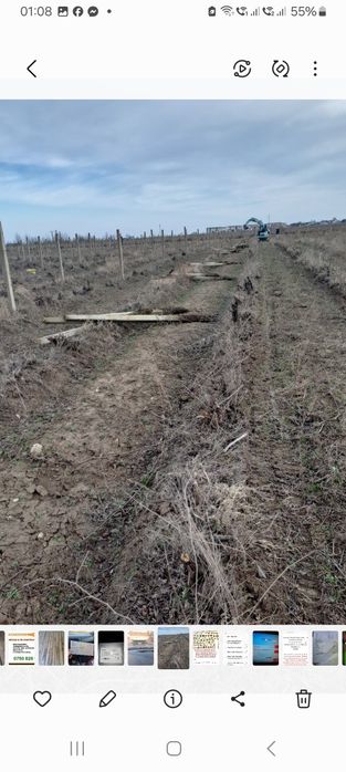 Șpalieri de beton de vânzare și Șpalieri metalici