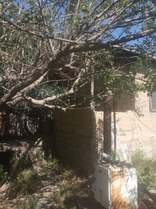 Продается дача 30 соток