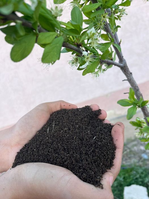 Биогомус Қызылорда