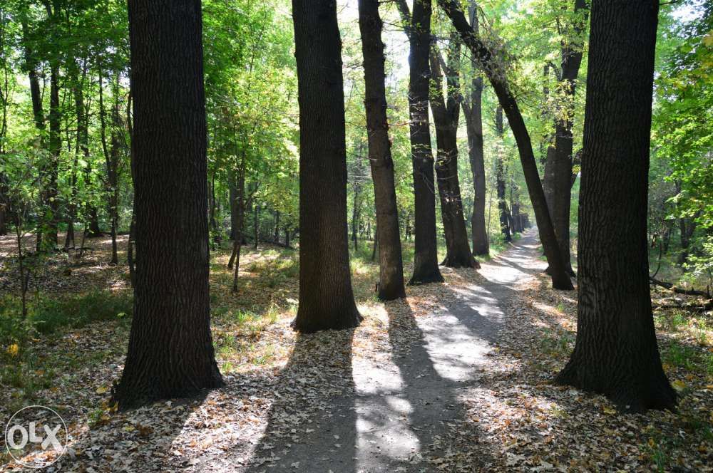 Два дома на одном участке р-н Рощи Баума