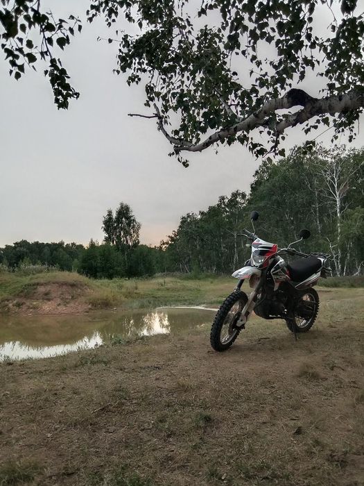 Racer Panther RC250GY-C2