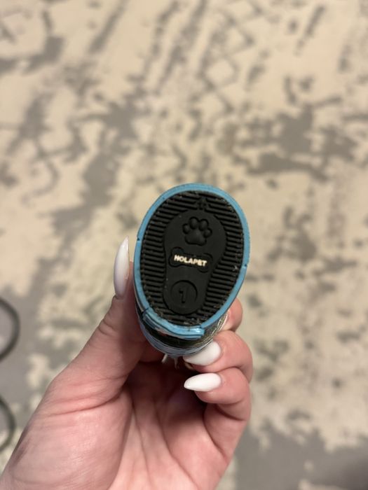 Отдам ботиночки для собак