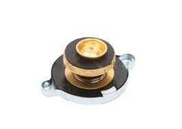 Buson radiator Hitachi Toate Modelele