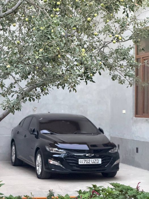 Malibu 2 XL 2023 Qora