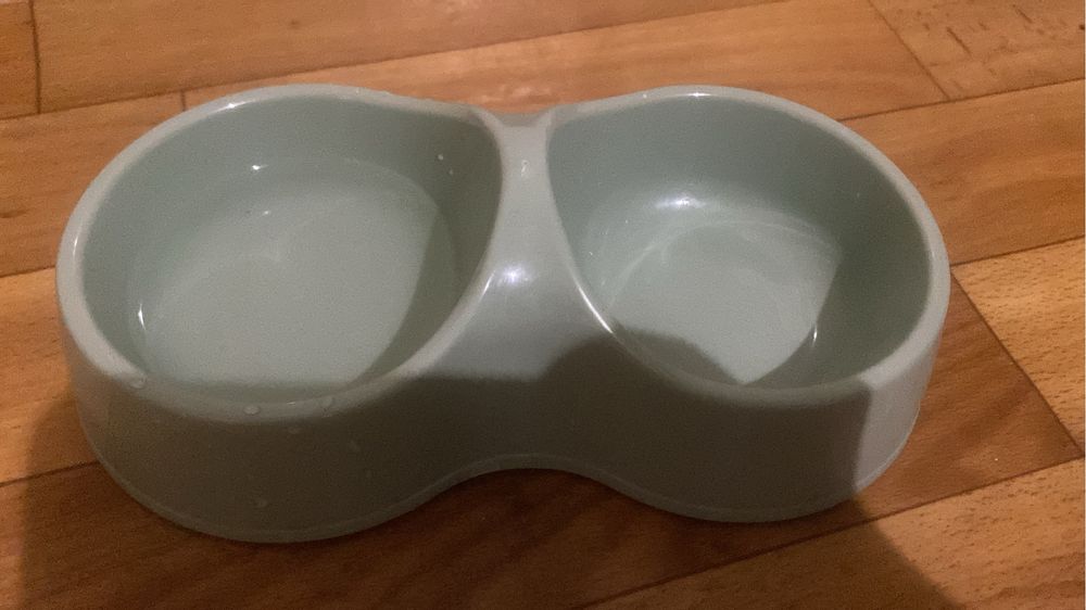 Британский кот!!!