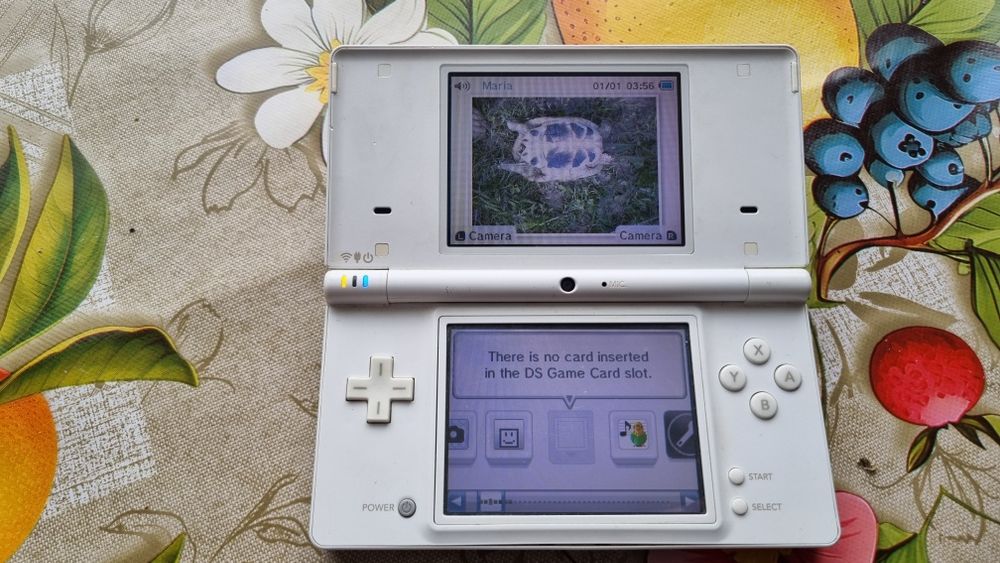 Consola Nintendo dsi alba