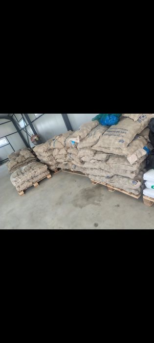 De vânzare cartofi de sămânță!