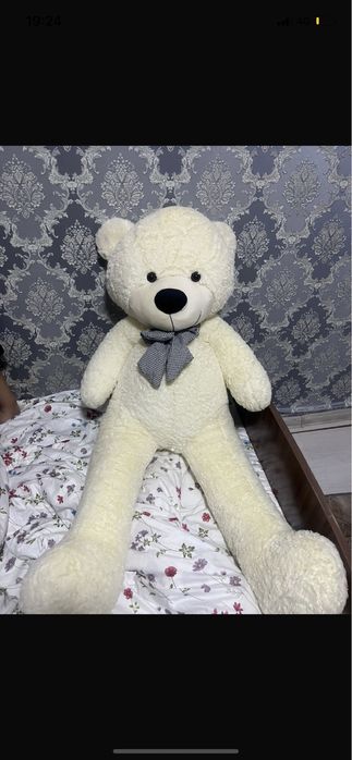 Мишка средный мияки өте күшті