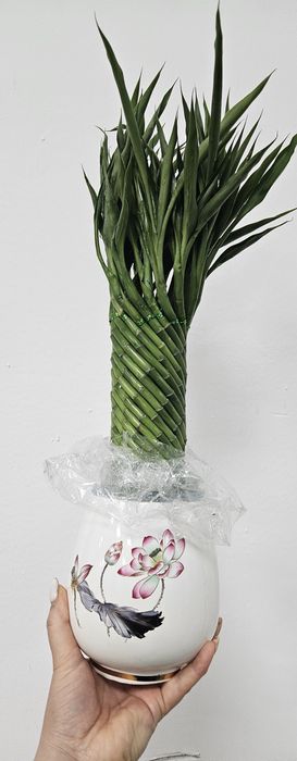 Бамбук счастья, "Башня счастья" высота 55см.