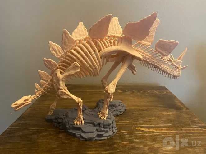 Скелет динозавра - Стегозавр \ Dinozavr skeleti Stegozavr