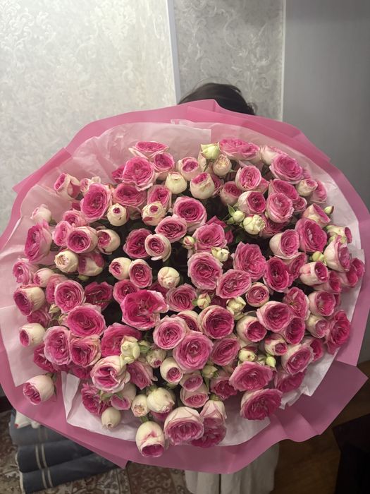 Светти гул свежии