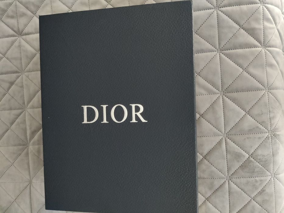 Dior b22 Reflective Black