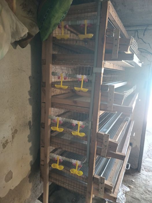 Продам новую клетку
