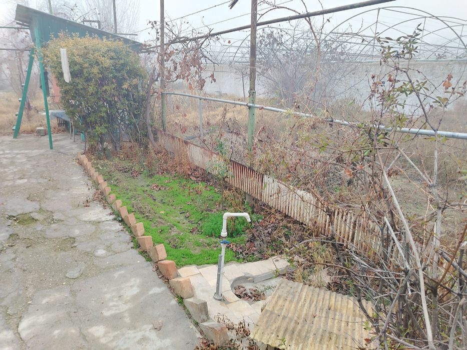 Дала ховли (дача)