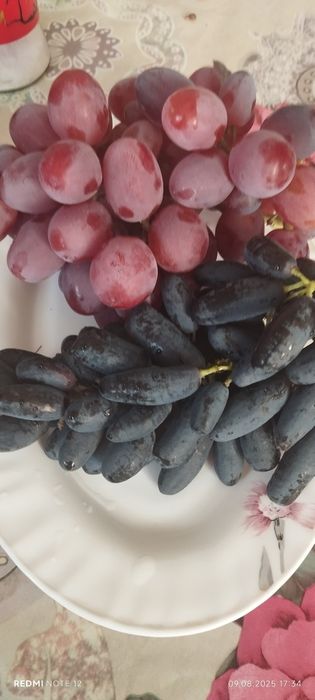 Аватар ломбаржини хелоун маникюр фингер шайн муска мое сердца ва бошка