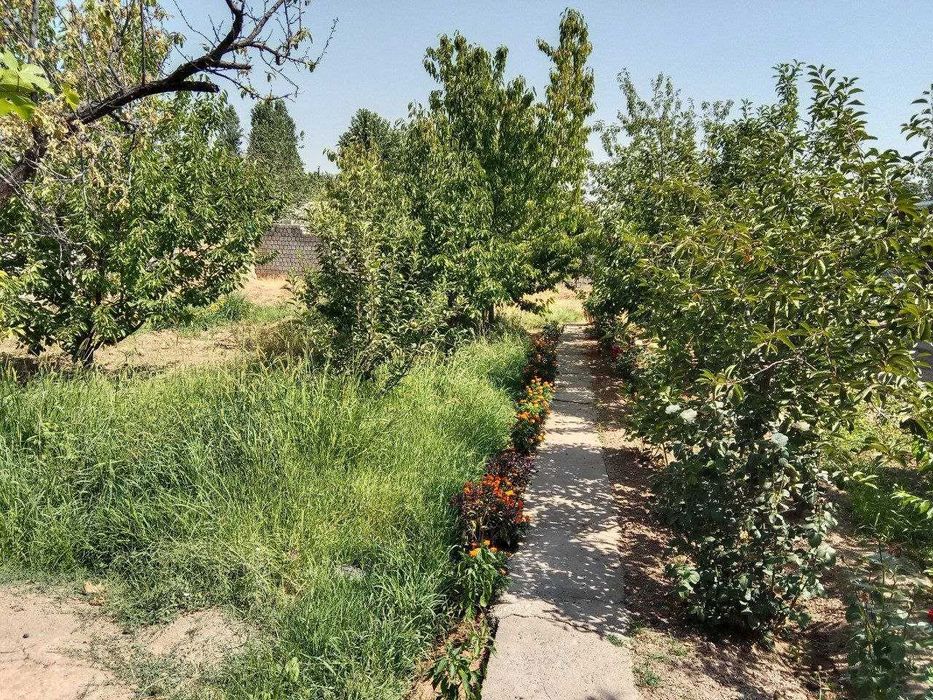 Срочно продается дом участок!!!