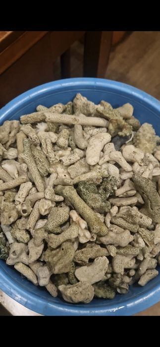 Продам битый коралл для аквариума.